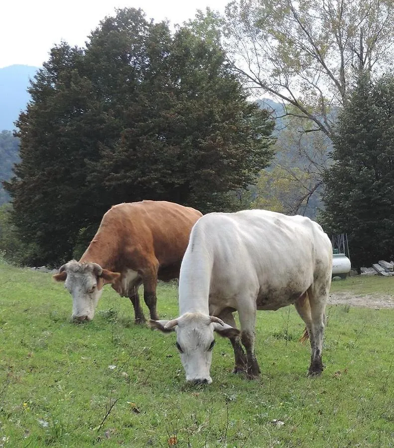 Farm stay Agriturismo Il Balcone Sulla Valle Bedero Valcuvia