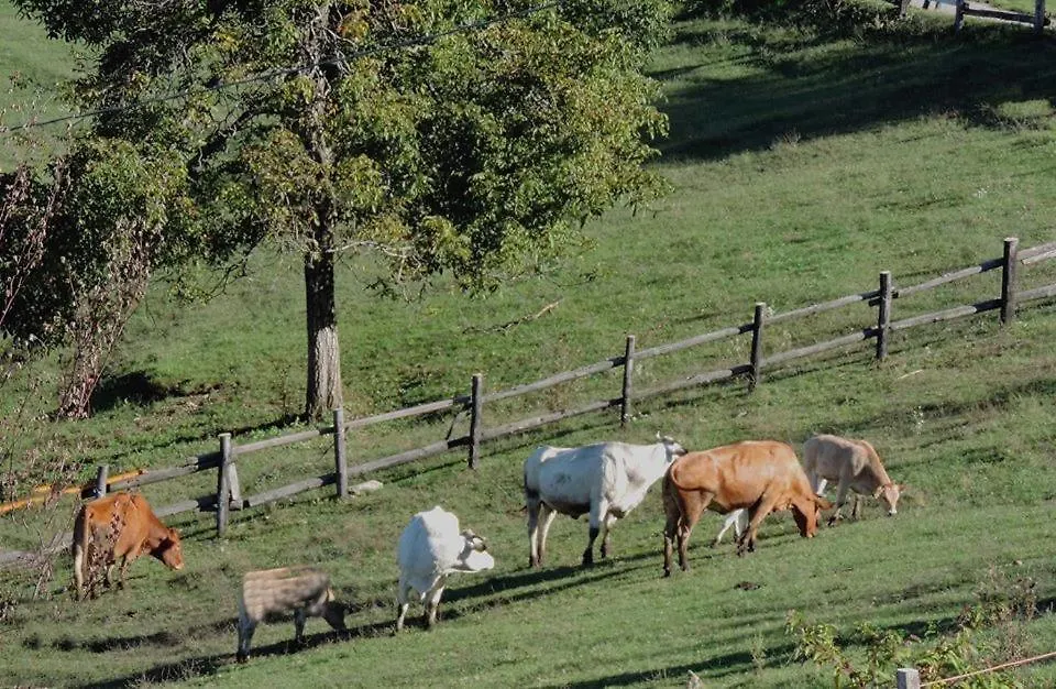 Farm stay Agriturismo Il Balcone Sulla Valle Bedero Valcuvia Italy