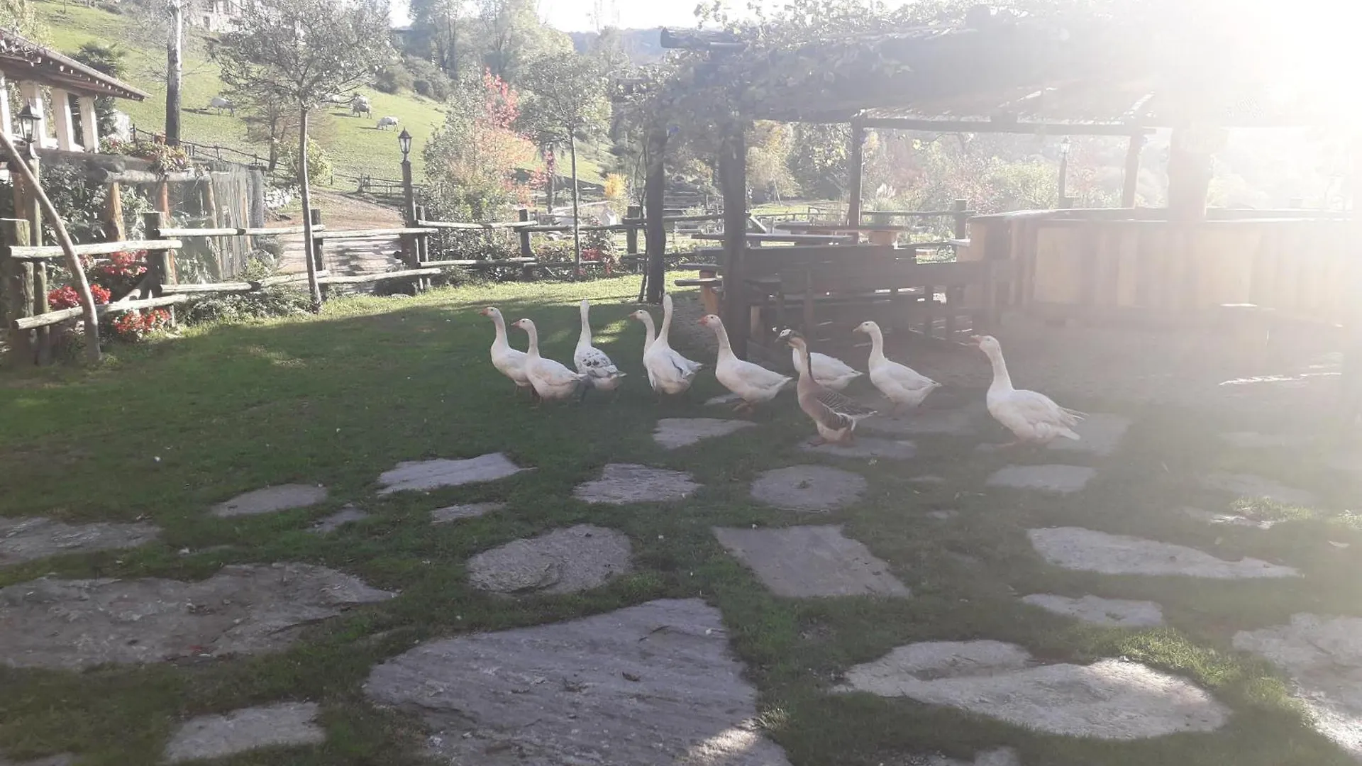 Agriturismo Il Balcone Sulla Valle Bedero Valcuvia